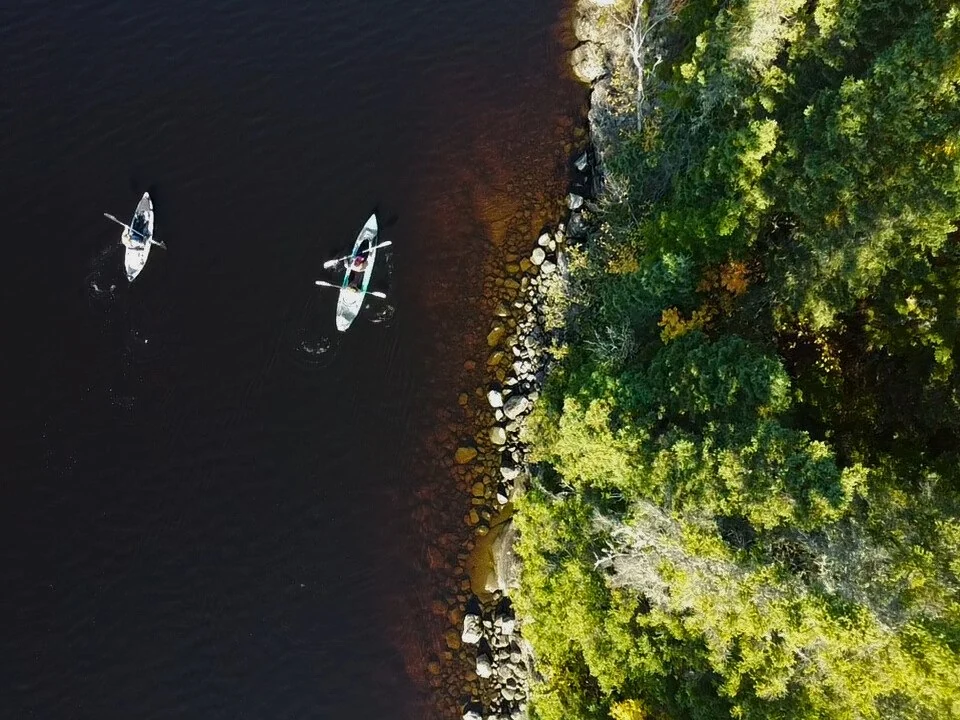 Kayak