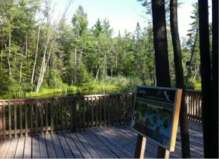 Parc régional des Grèves