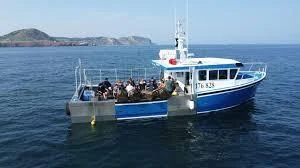 Interprétation de pêche en mer