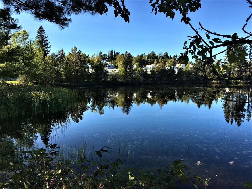 Auberge Camping du Lac Malcom